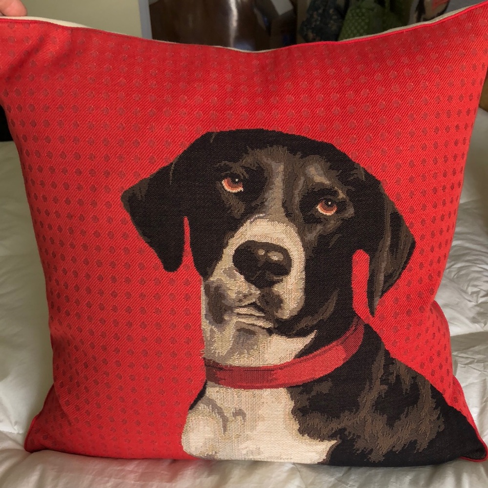 Cute Black and White Dog with Ted Collar and Background Sq Pillow made in Paris
